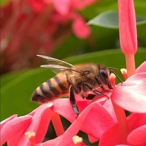 Meet your Posher, Ignacio